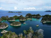 Mau Liburan Akhir Tahun ke Raja Ampat, Baca Ini Dulu