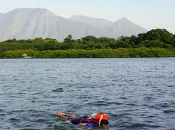 Snorkeling di Taman Nasional Baluran, Bisa Banget!