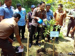 Ibas Adopsi Pohon di Hutan Kota Trenggalek