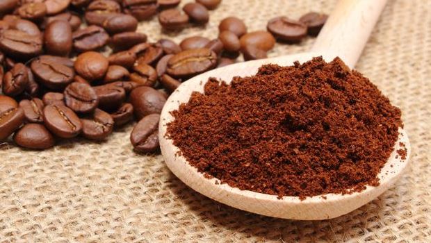 9 Bahan yang Bisa Usir Semut di Dapur