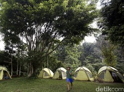 Siklus Tidur Kacau? Coba Atasi dengan Camping di Akhir Pekan