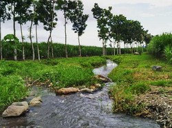 Yang Mudik ke Banyuwangi, Datang ke Tempat Ini Yuk!