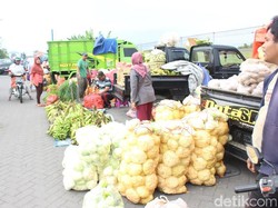 Pasca Pasar Baru Porong Terbakar, Sebagian Pedagang Berjualan di Terminal