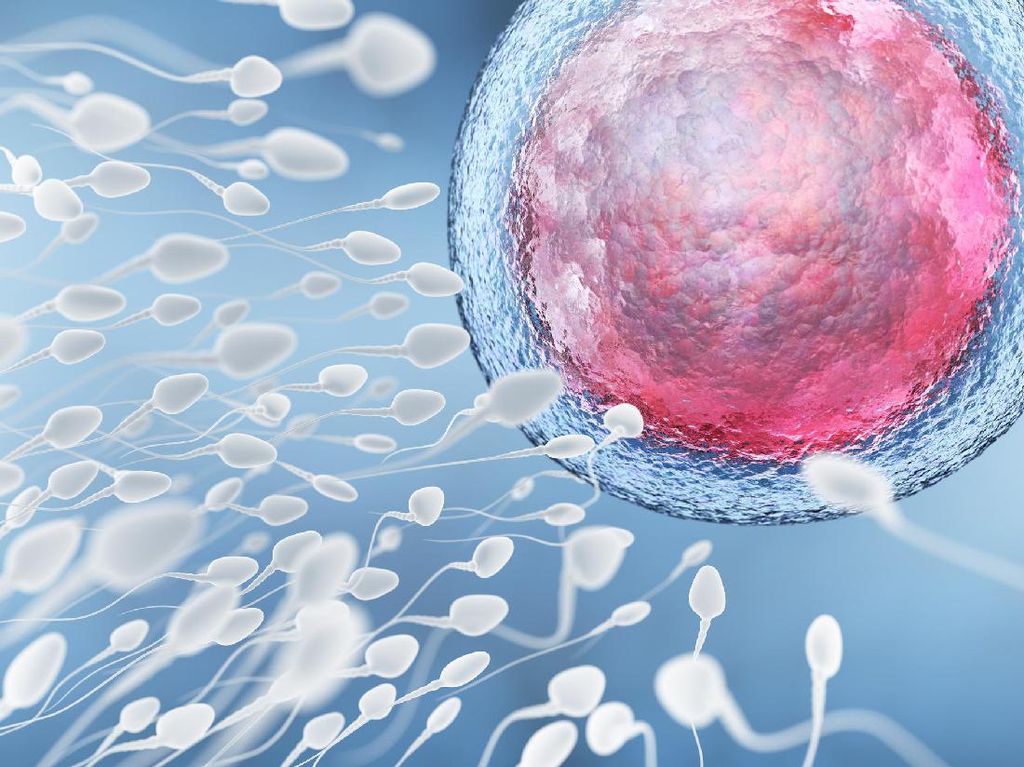 Sperma Magnetik yang Nggak Bikin Hamil Sperma Magnetik yang Nggak Bikin Hamil