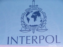 Buronan Interpol Asal India Ditangkap di Bandara Ngurah Rai Bali