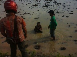 Cerita Polisi Saat Interogasi Mayat Laki-laki yang Tiduran di Sawah