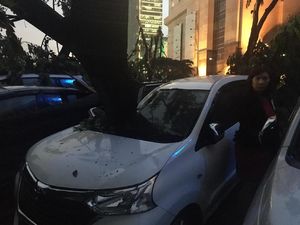 Ini Lokasi Pohon Tumbang di Jakarta, Sebagian Besar di Selatan