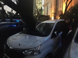 Ini Lokasi Pohon Tumbang di Jakarta, Sebagian Besar di Selatan