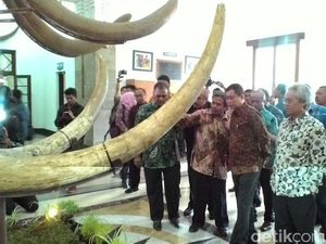 Lihat Replika T-Rex dan Mammoth di Museum Geologi, Jonan: Ini Asli Ya?