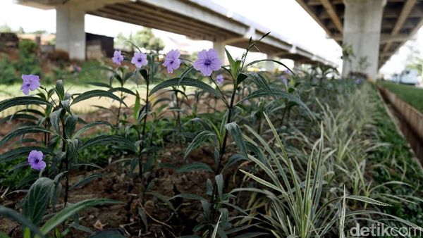 Taman Percantik Kolong Tol Becakayu
