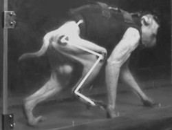 Manfaatkan Wi-fi, Ilmuwan Sukses Pulihkan Gerakan Monyet yang Lumpuh