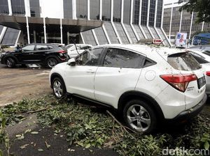 Banyak Pohon Tumbang, Plt Gubernur DKI: Utamakan Keselamatan dan Lingkungan