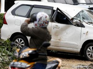 Puluhan Mobil Rusak Tertimpa Pohon di Gedung Panin Bank