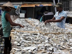 Produk Ikan Beku dan Asin Dominasi Industri Perikanan RI