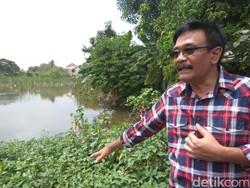 Soal Baliho Tangkap Ahok, Djarot: Serahkan ke Bawaslu dan Aparat Terkait