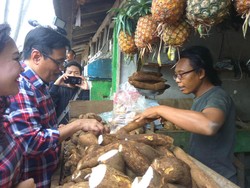 Djarot Saiful Hidayat: Belakangan Saya Susah Cari Singkong