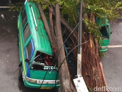 Dua Angkot di Bandung Ringsek Tertimpa Pohon Tumbang, Ini Penampakannya