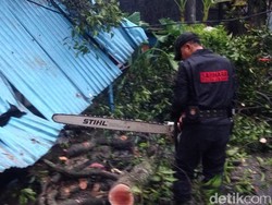 Begini Aksi Polisi Berjibaku Evakuasi Pohon Tumbang di Bandung