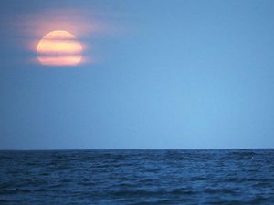 Supermoon Bikin Pasang Air Laut Maksimum