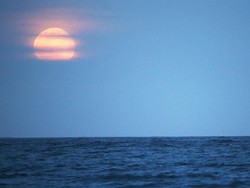 Supermoon Bikin Pasang Air Laut Maksimum
