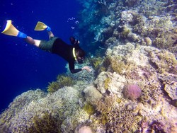 Keindahan Bawah Laut Pulau Menjangan, Maldives-nya Bali Nih!