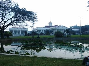 Bima Arya: Jokowi Salat Idul Adha di Kebun Raya Bogor