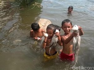 Uniknya Indonesia, Anak Kecil di Wakatobi Tangkap Gurita Pakai Tangan