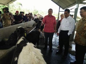 Mentan Heran: RI Ekspor Sperma Sapi, Tapi Dagingnya Impor Mentan Heran: RI Ekspor Sperma Sapi, Tapi Dagingnya Impor