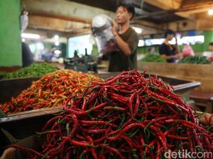 Ajak Ibu-ibu Tanam Cabai di Rumah, Kementan: Bikin Sambal Tinggal Petik