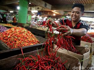 Harga Cabai Tinggi, DPR Minta Pemerintah Atasi Masalah Distribusi