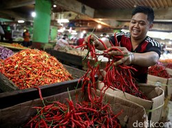 Harga Cabai Tinggi, DPR Minta Pemerintah Atasi Masalah Distribusi