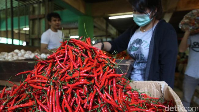 Harga opsi perdagangan langsung