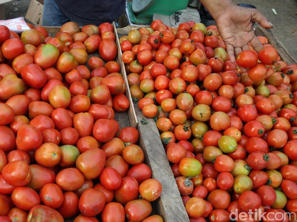 Setelah Lebaran, Harga Tomat Malah Naik Jadi Rp 24.000/Kg Setelah Lebaran, Harga Tomat Malah Naik Jadi Rp 24.000/Kg