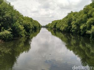 Twitwar Pemprov DKI Jakarta vs TWA Angke Kapuk Soal Video Mangrove