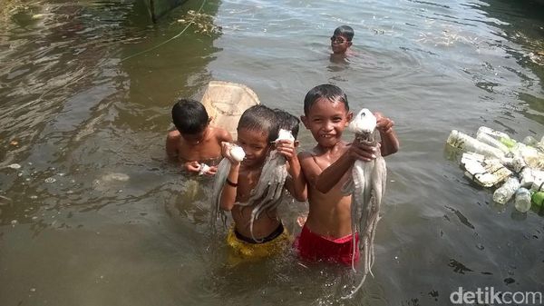 Potret Anak-anak Wakatobi Tangkap Gurita Pakai Tangan