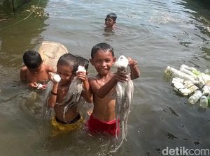 Potret Anak-anak Wakatobi Tangkap Gurita Pakai Tangan