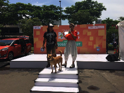 Bagikan Tips untuk Rawat Hewan Kesayangan, Sienta Gelar Unlock Your Dogs Day Out