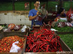Pemerintah Minta Bulog dan PPI Turunkan Harga Cabai