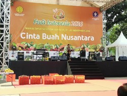 Jokowi: Kelapa Sawit Saja 14 Juta Hektar, Seharusnya Buah Juga Bisa