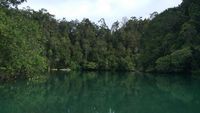Potret Laguna Misterius Pulau Gam di Raja Ampat