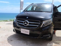MPV Diesel Mercedes-Benz Tidak Bisa Minum B20