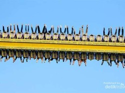 Taman Sekelas Disneyland di Bali Rampung 2026 & Serap 20 Ribu Pegawai