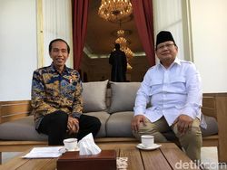 Disebut Bakal Masuk Kabinet, Gerindra: Tak Ada Arahan dari Prabowo