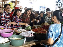 Tak Ada Gangguan Lagi Saat Kampanye, Djarot: Kalau Begini Kan Enak