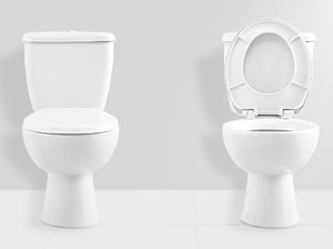 Saat Mudik, Lebih Baik Pilih Toilet Duduk atau Jongkok? Saat Mudik, Lebih Baik Pilih Toilet Duduk atau Jongkok?