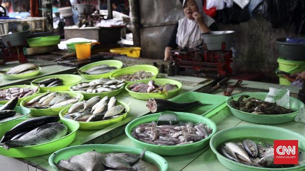 Seorang pedagang ikan menunggu pembeli di kawasan Pasar Minggu Jakarta Selatan, Selasa 15 November 2016. Saat ini harga jual ikan bawal naik menjadi Rp 30 ribu per kg dengan harga awal Rp 25ribu akibat dikarenakan cuaca dan gelombang air laut yang tak menentu. CNN Indonesia / Ajeng Dinar Ulfiana.