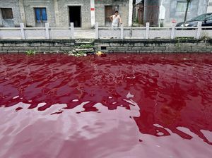 Begini Kondisi Sungai Tercemar di China Begini Kondisi Sungai Tercemar di China
