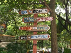 Kebun Binatang di Semarang yang Asyik Buat Akhir Pekan Bareng Anak