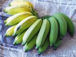 Studi: Dibanding Pisang Matang, Pisang Mentah Bikin Tubuh Lebih Berenergi