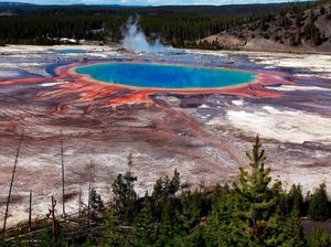 Seram, Pria Jatuh ke Air Panas di Yellowstone Tubuhnya Larut Seram, Pria Jatuh ke Air Panas di Yellowstone Tubuhnya Larut